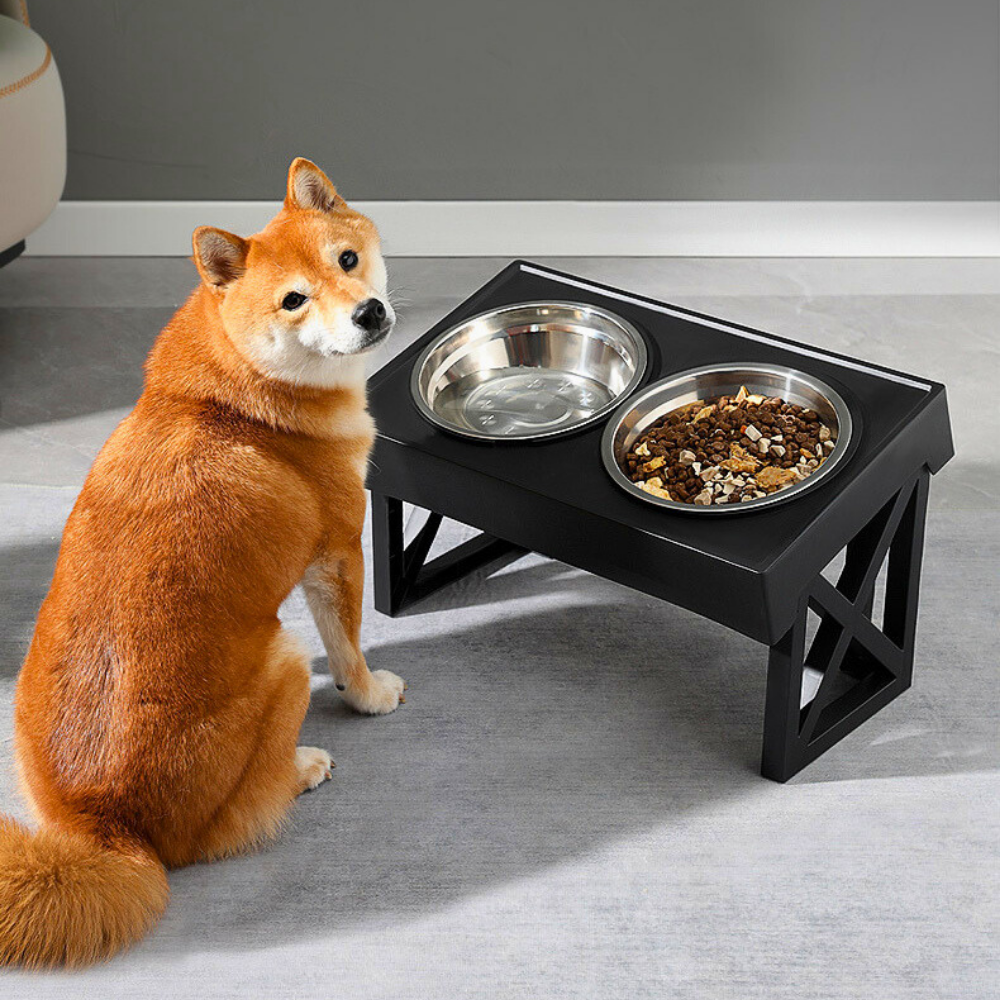 Höhenverstellbarer Hundenapf – Gesünder fressen mit Anti-Schling-Einsatz & Rückenschutz