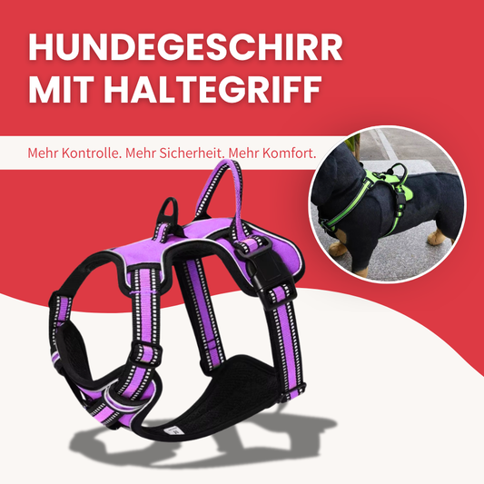 Hundegeschirr mit Haltegriff - Für maximale Kontrolle & sicheren Halt
