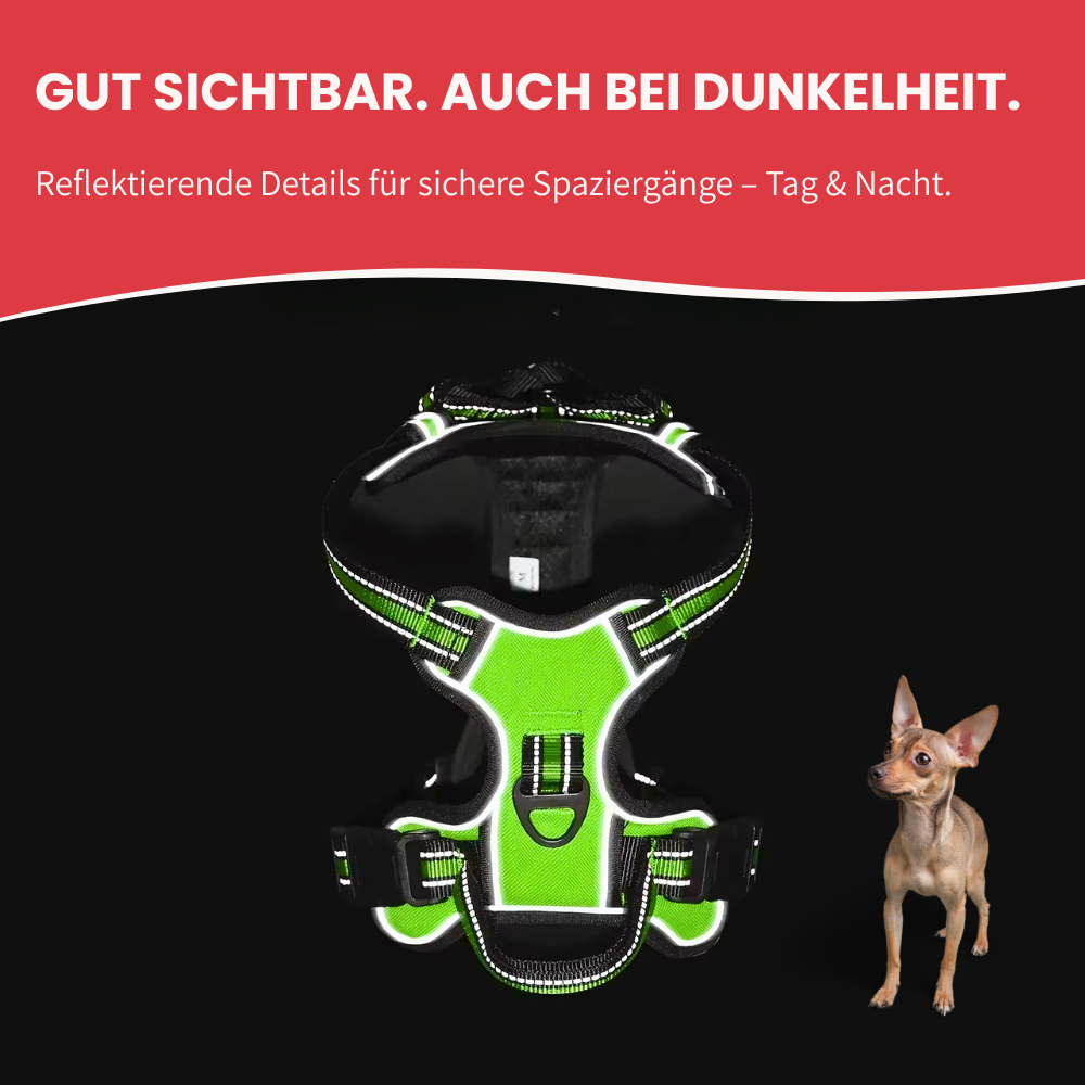 Hundegeschirr mit Haltegriff - Für maximale Kontrolle & sicheren Halt