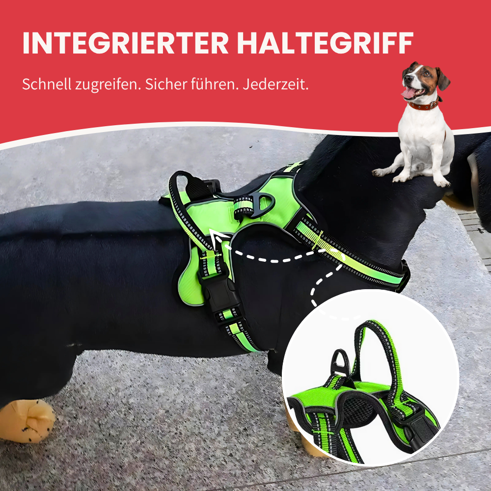 Hundegeschirr mit Haltegriff - Für maximale Kontrolle & sicheren Halt