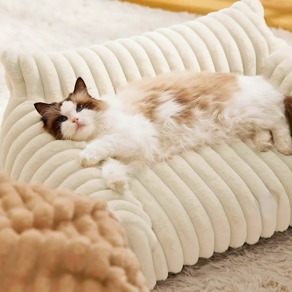 Kuschelsofa für Hunde und Katzen – Mit Rückenlehne für warmen Wohlfühl-Komfort