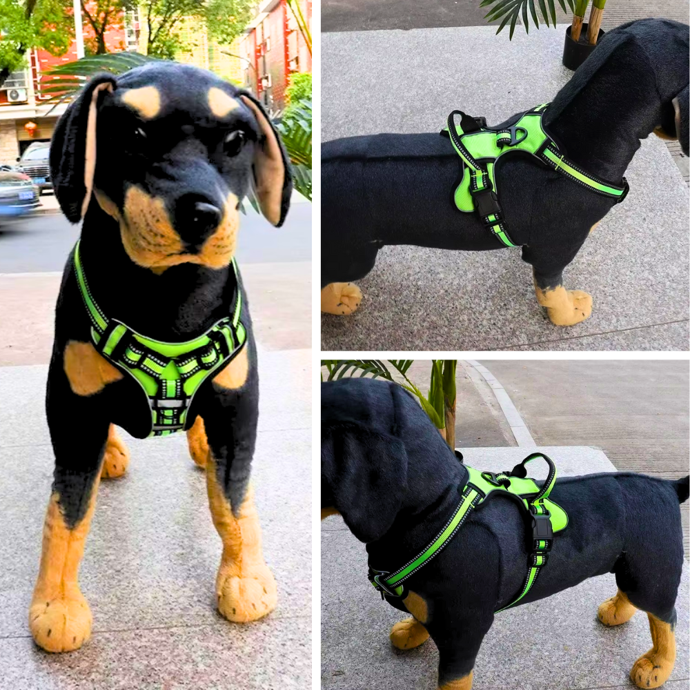 Hundegeschirr mit Haltegriff - Für maximale Kontrolle & sicheren Halt